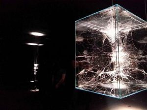 tomas-saraceno